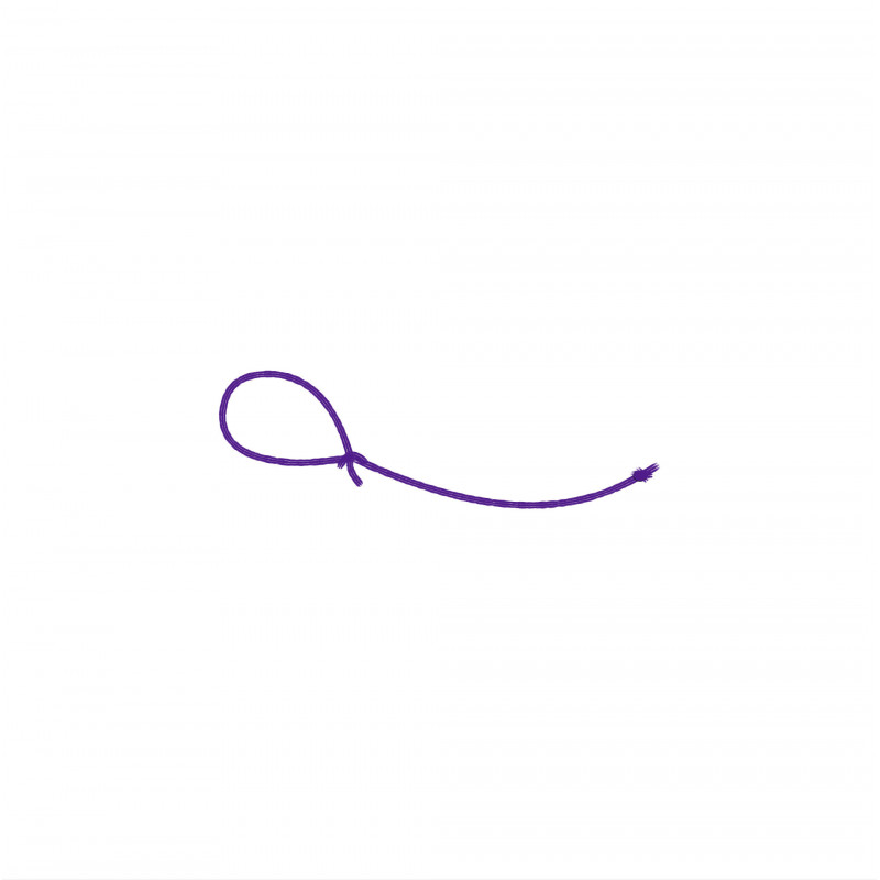 EXTREME GAMES - Purple Leash Fingersurf