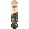 GLOBE - G1 Insignia Maple Thornbush 7.75" Skateboard Complete