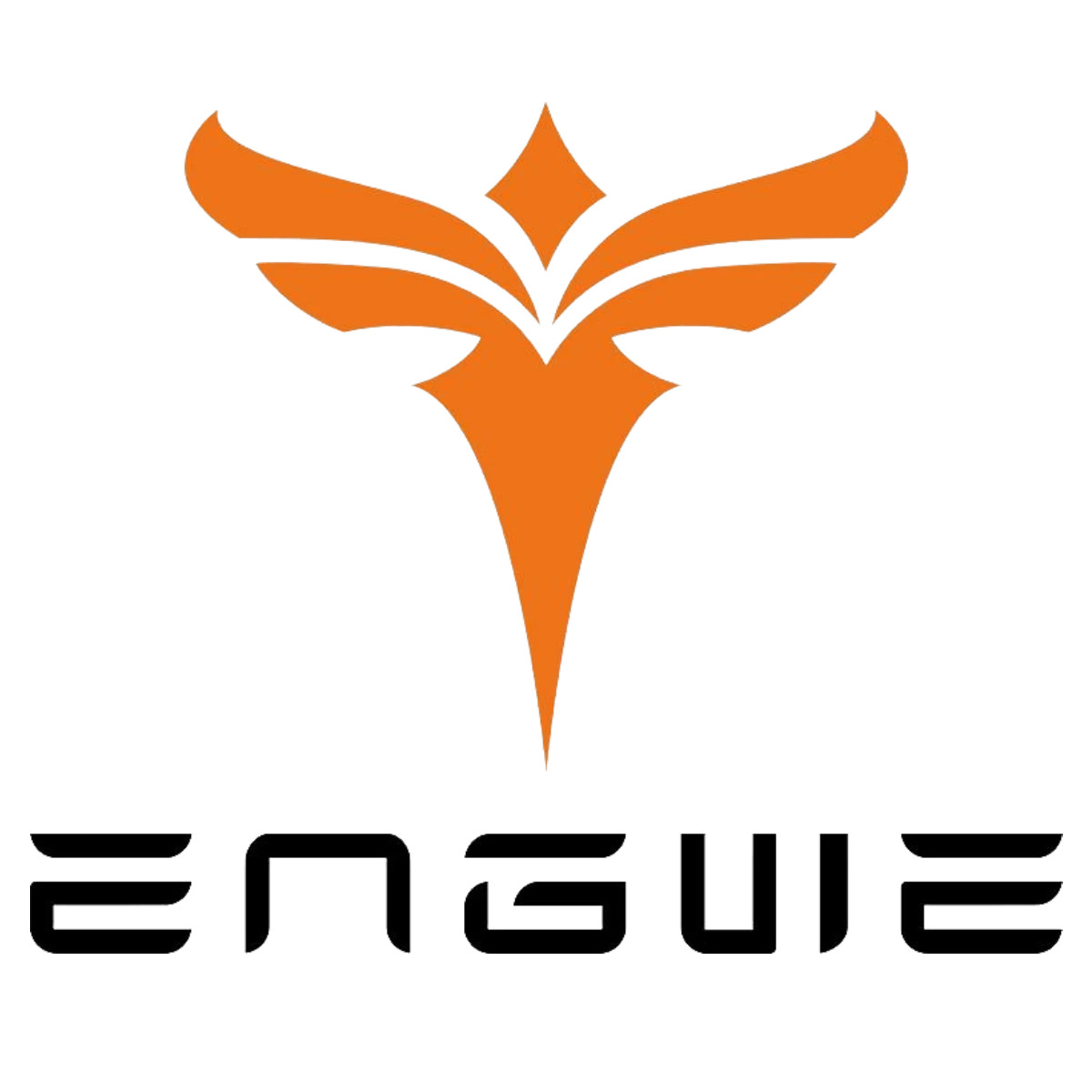 Engwe